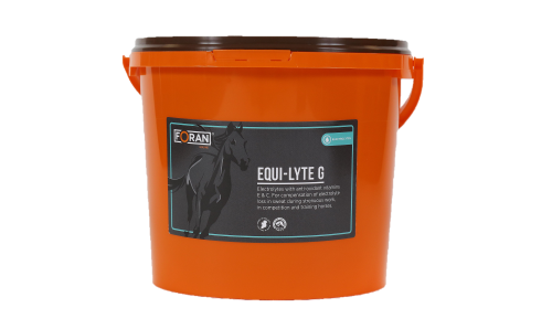 Elektrolity Equi-Lyte G 1kg