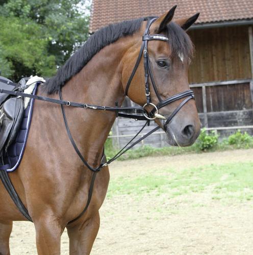 Wodze Thiedemann czarne