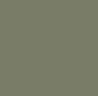BeetleKhakiGreen