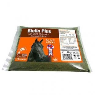 Biotin Plus biotyna w proszku 2kg refill