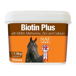 Biotin Plus biotyna w proszku 1,5kg