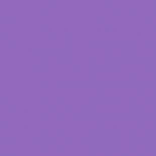 Gaudy purple