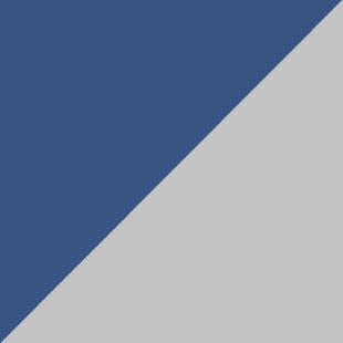 NAVYSILVER