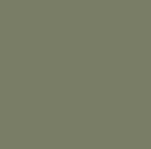 BeetleKhakiGreen